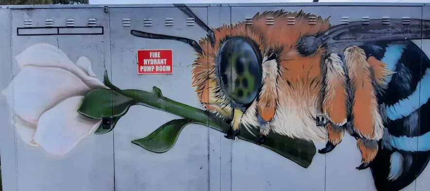 Une fresque, peinte sur un bloc d'accès à l'eau en métal, d'une abeille à bandes bleues Amegilla sp dans une commune de Sydney, en Australie.