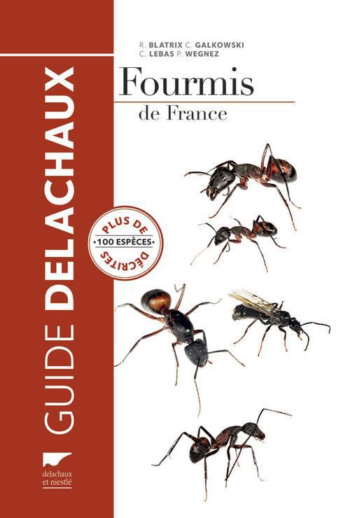Guide des fourmis françaises, Delachaux.