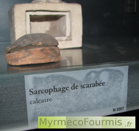 Sarcophage de scarabée pris en photo au musée de Louvre. Réalisé en calcaire, il servait à enterrer un scarabée considéré comme porte-bonheur aux côtés des familles royales.