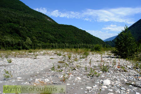 Zone alluviale, Savoie.