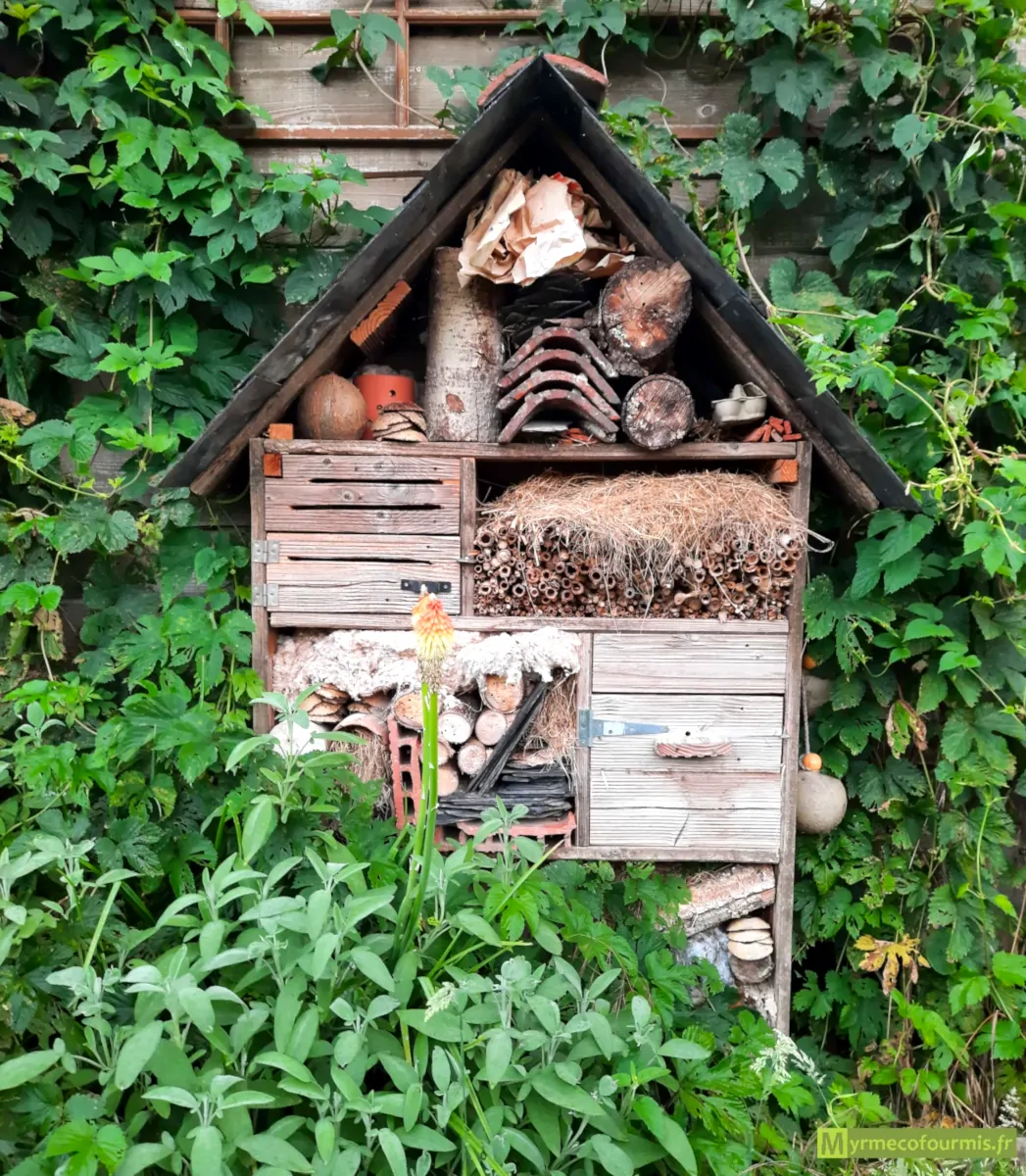 Un joli hôtel à insectes fait de boîtes en bois, de tuiles, de paille et de tiges creuses dans un jardin.