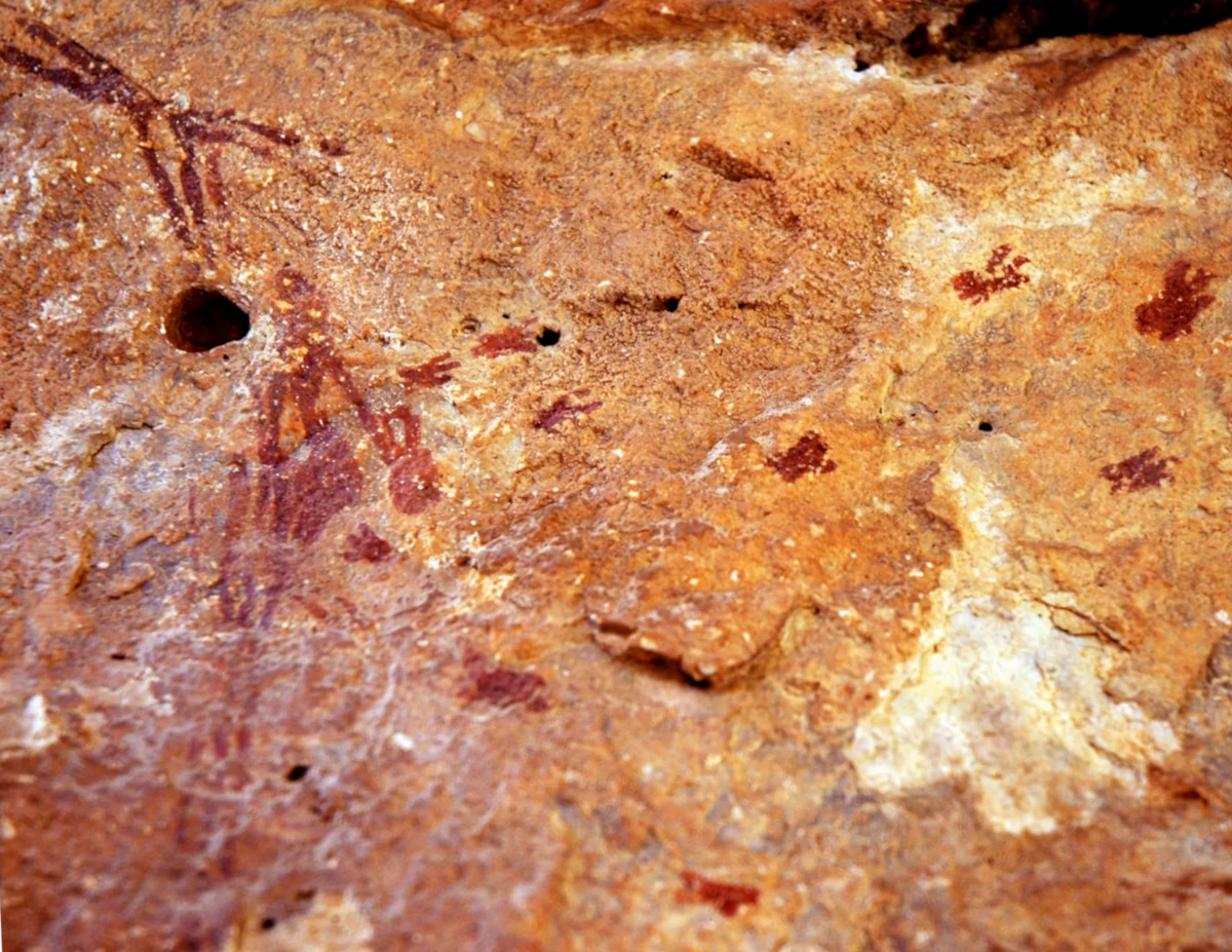Première peinture rupestre représentant la récolte du miel par l'homme de Bicorp, en -8000 avant l'an zéro.