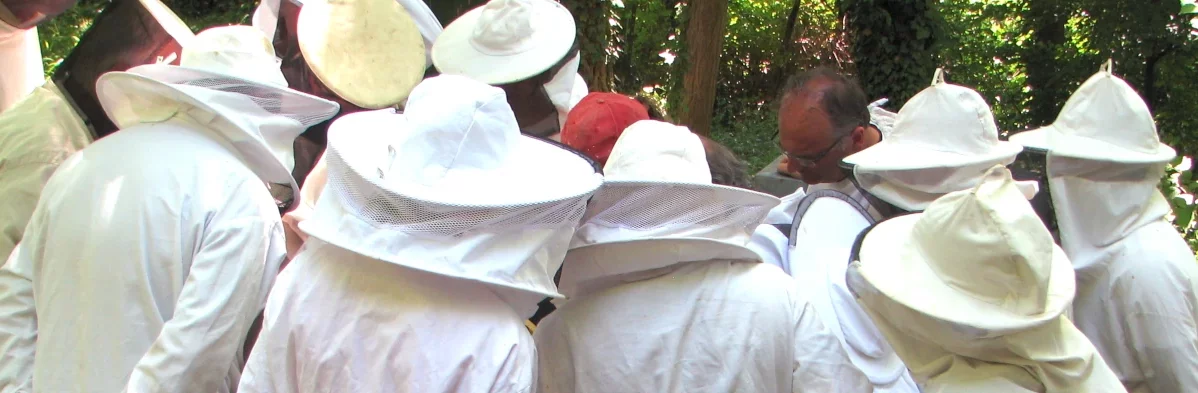 Un groupe d'apiculteurs en vareuses d'apiculture se regroupe autour d'une ruche. Ils portent tous des habits de protections blancs d'apiculture en coton avec des chapeaux et un voile qui les protègent des abeilles.