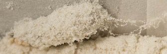 Cocon de mite de farine fait de soies qui forment des fils dans la farine ou les graines. Cette mite de farine blanche est emballée dans so cocon recouvert de grains de farine.
