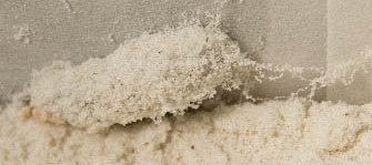 Cocon de mite de farine fait de soies qui forment des fils dans la farine ou les graines. Cette mite de farine blanche est emballée dans so cocon recouvert de grains de farine.